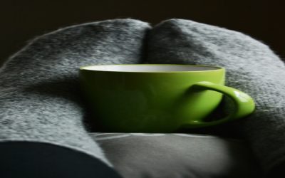 Landlords Rent and Legal Protection