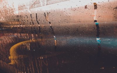 Condensation and Mould